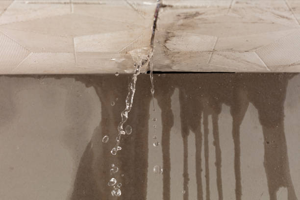Professional Water Damage Restoration technician working in Hamilton, GA